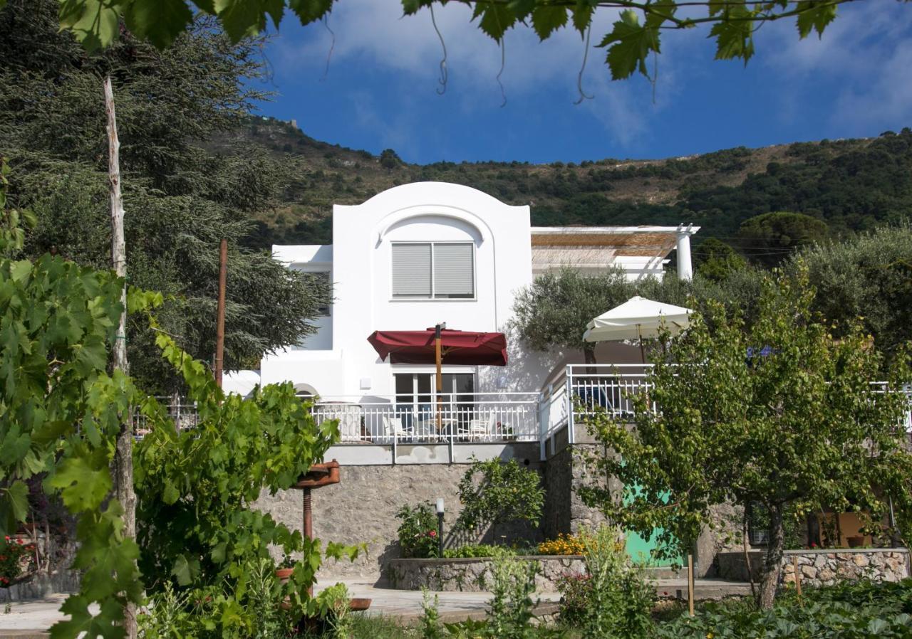 Villa Romano, Anacapri ภายนอก รูปภาพ