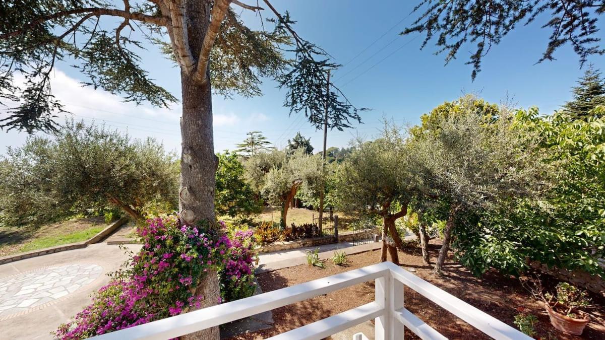 Villa Romano, Anacapri ภายนอก รูปภาพ